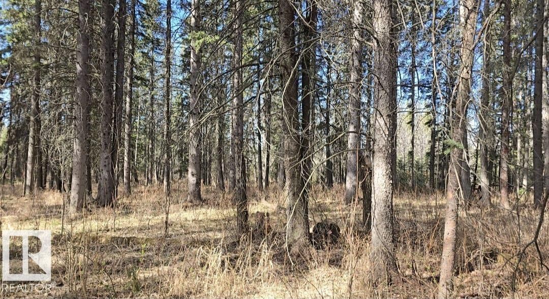 106 4 ST, Winfield, Alberta T0C 2X0