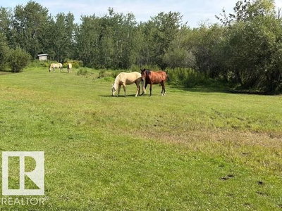 56527 Rge Rd 231 | Rural Sturgeon County Alberta | Slide Image Seventeen