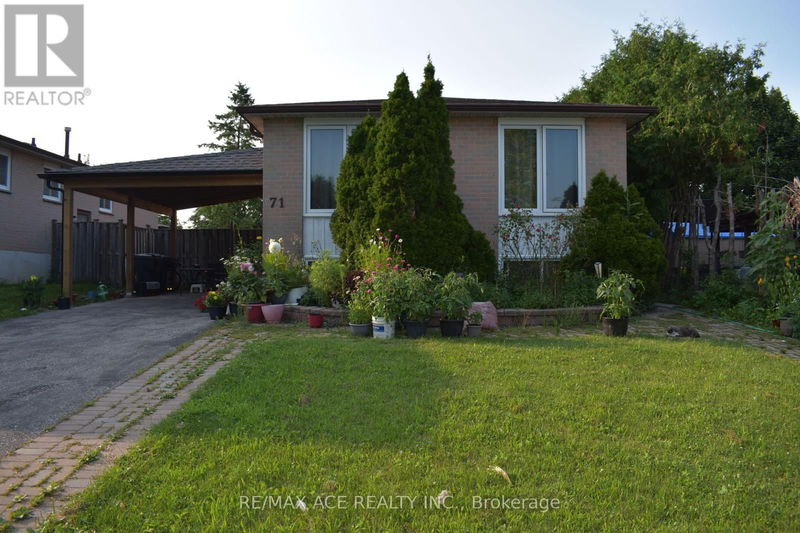 71 Winstanly Crescent  Toronto (Malvern), M1B1N3 | Image 1