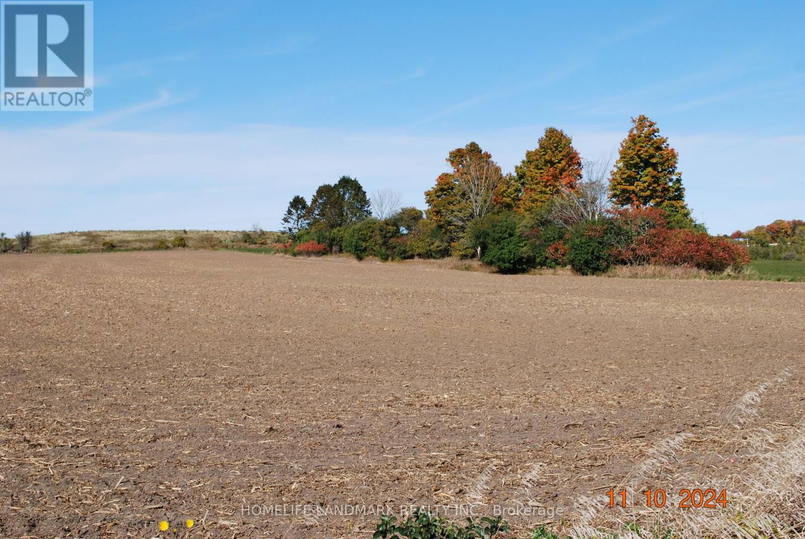 3548 CONCESSION 7 ROAD E Image 9