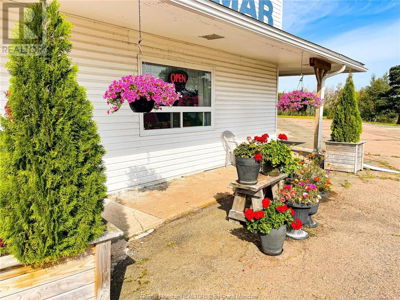 Businesses for Sale in Prince-edward-island