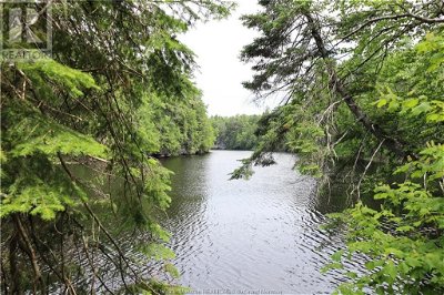 Image #1 of Commercial for Sale at Lot 23-1 North Barnaby Rd, Barnaby River, New Brunswick