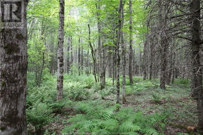 Image #1 of Commercial for Sale at Lot 23-5 North Barnaby Rd, Barnaby River, New Brunswick