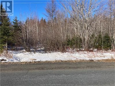 Image #1 of Commercial for Sale at Lot Route 134, Bathurst, New Brunswick