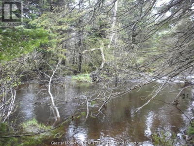 Commercial for Sale in Newfoundland-and-labrador