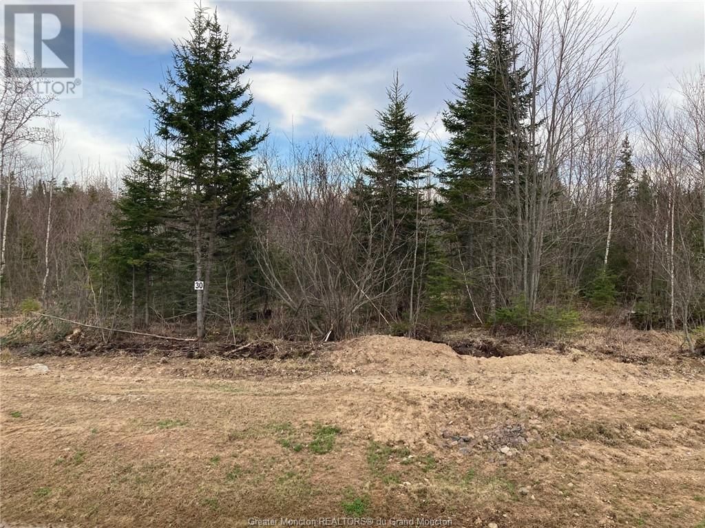 Buy Land for Sale at Lot 2330 Maefield RD in Lower Coverdale New