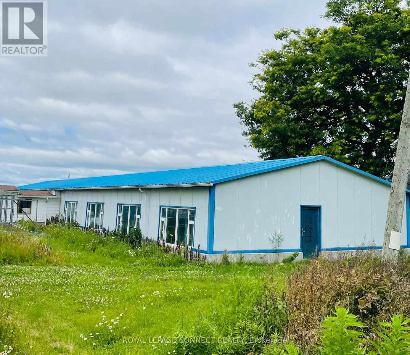 Primary Property View