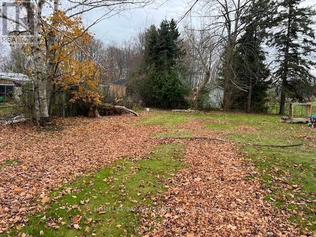 6531 KING ROAD Image 16