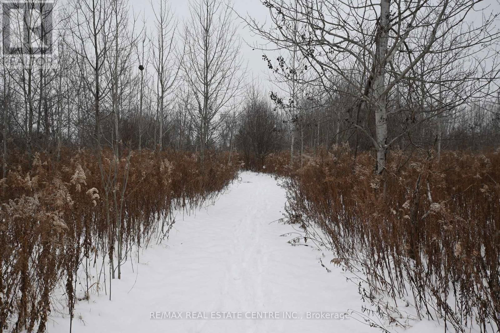 5892 OLD MILL ROAD Image 3