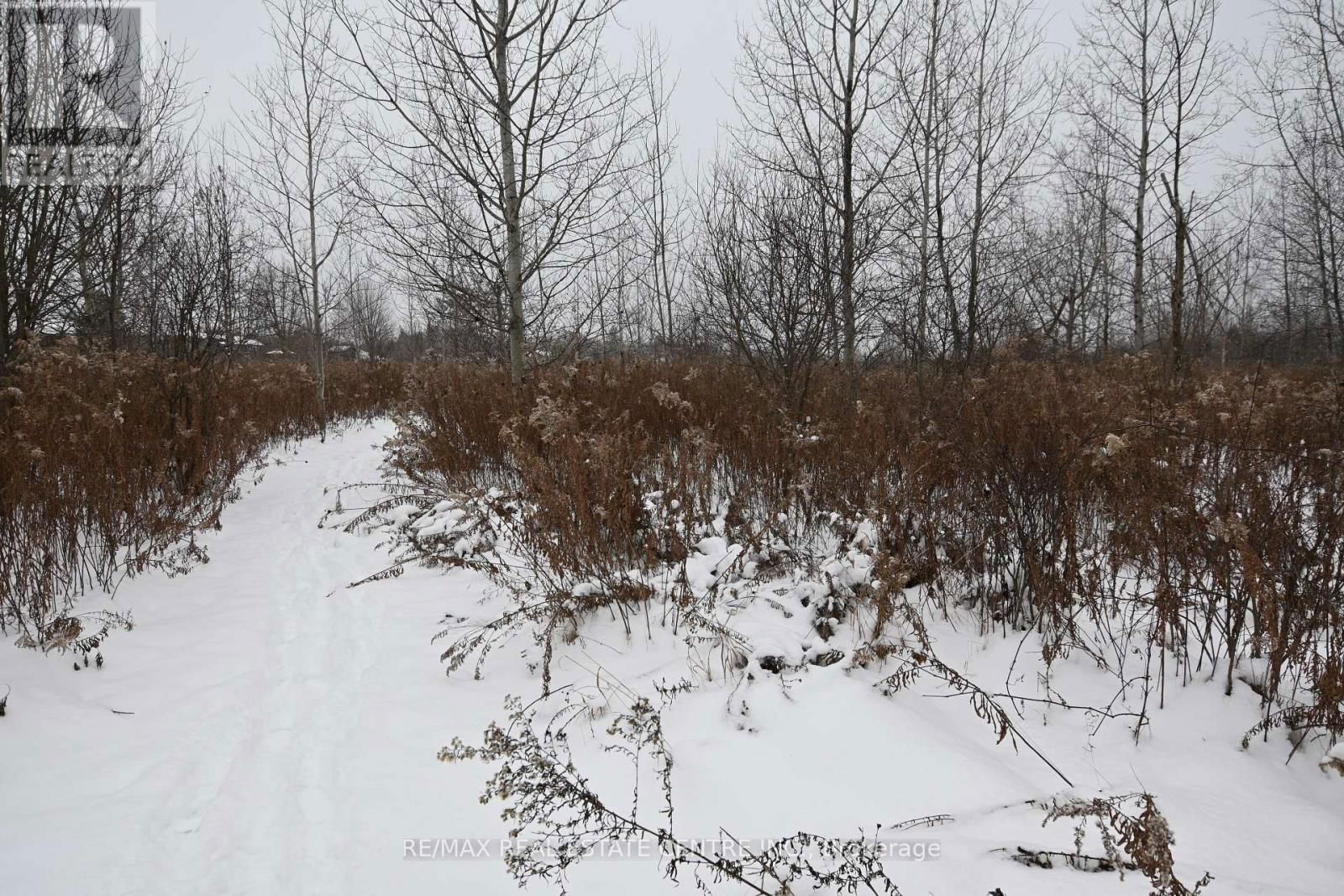 5892 OLD MILL ROAD Image 6