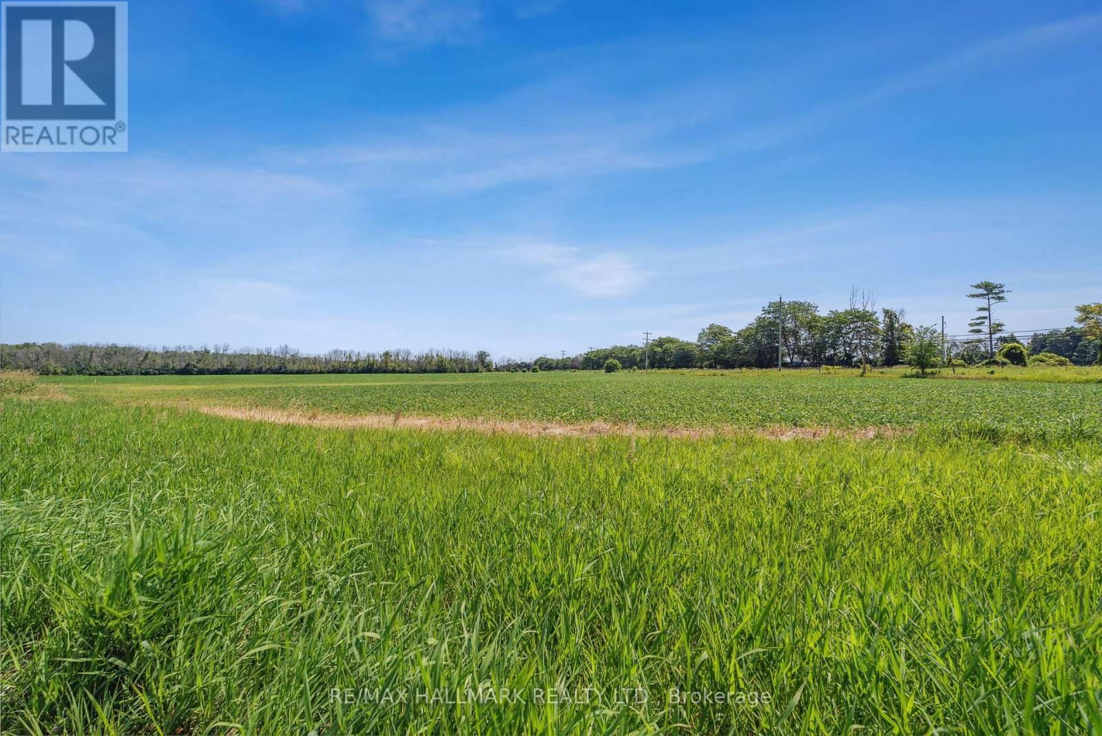 29018 HIGHWAY 48 Image 31