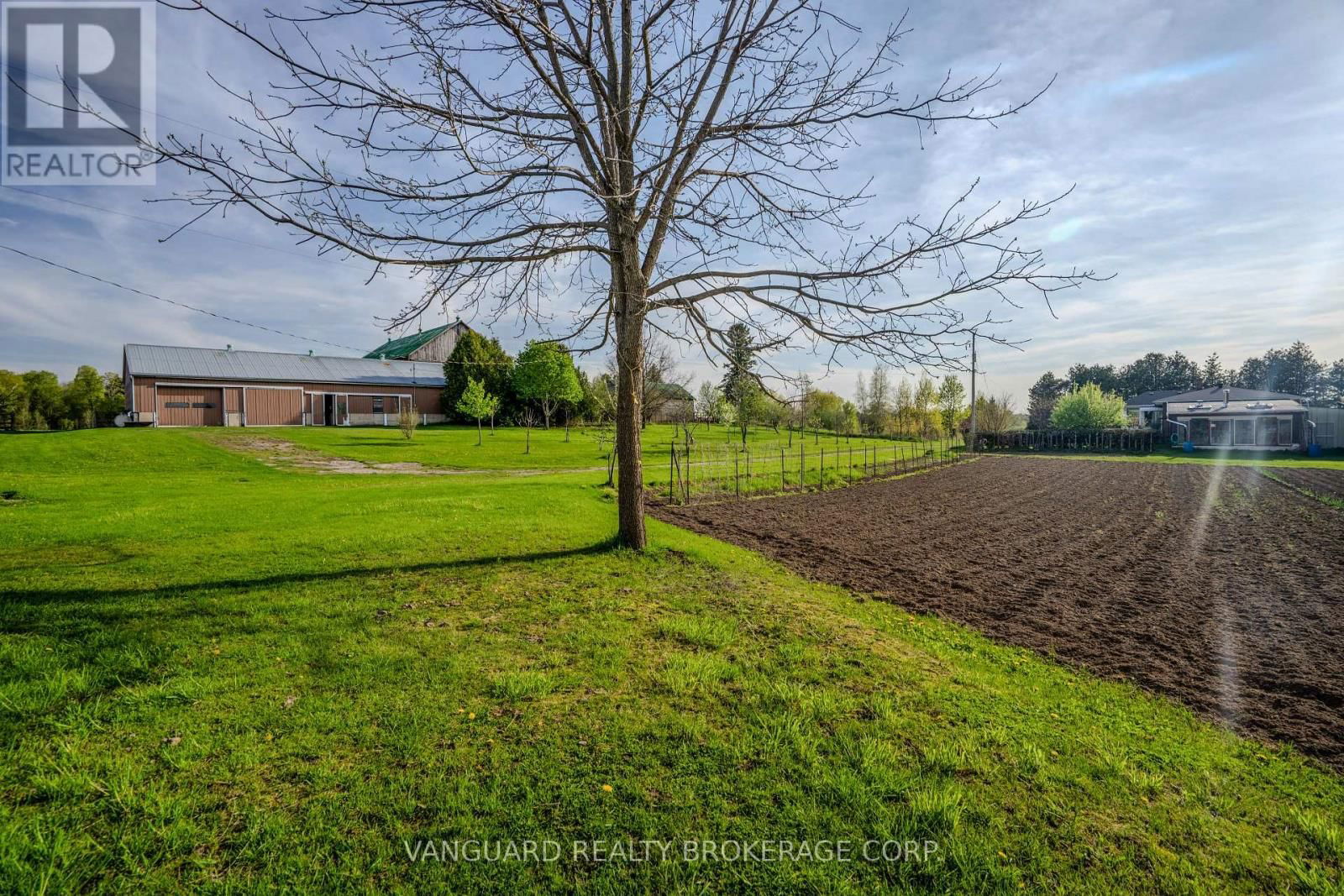 3269 CONCESSION 7 ROAD Image 10