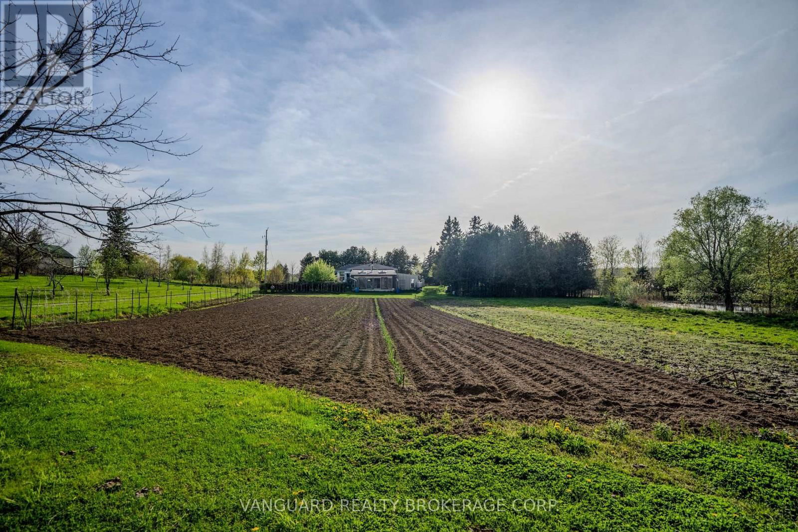 3269 CONCESSION 7 ROAD Image 9
