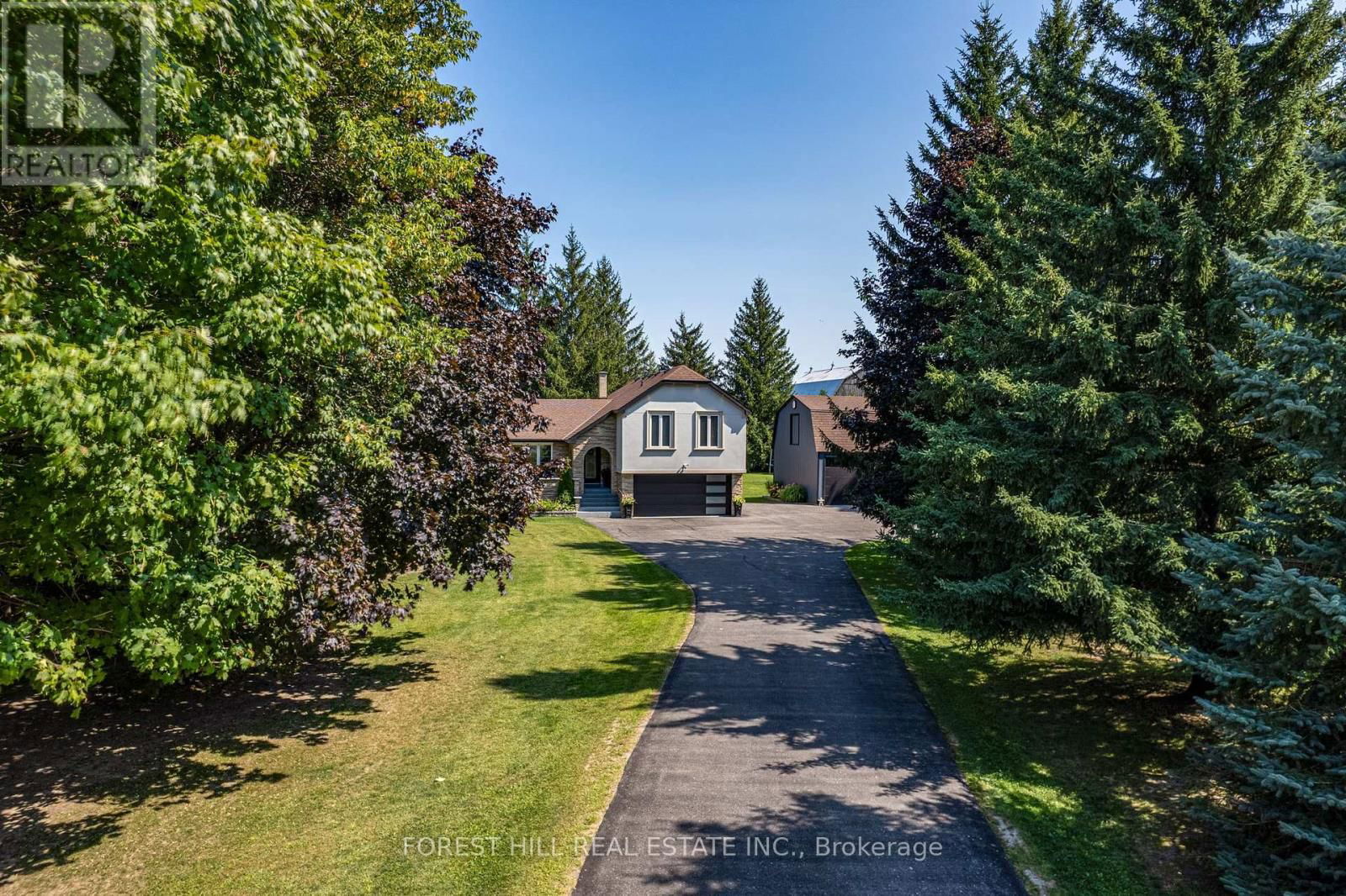 Primary Property View