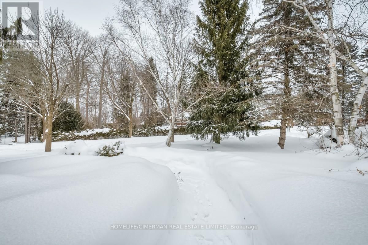 57 TREEGROVE CIRCLE Image 4
