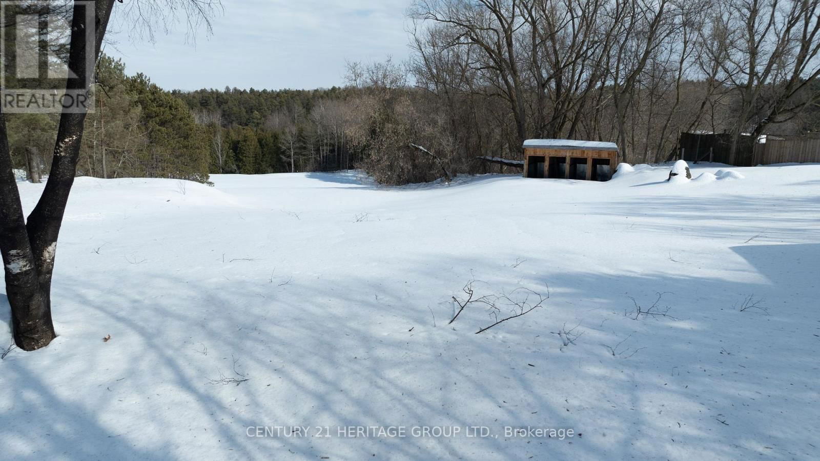 1915 SIMCOE COUNTY RD 50 Image 5