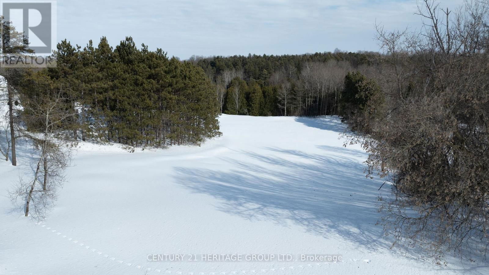 1915 SIMCOE COUNTY RD 50 Image 6
