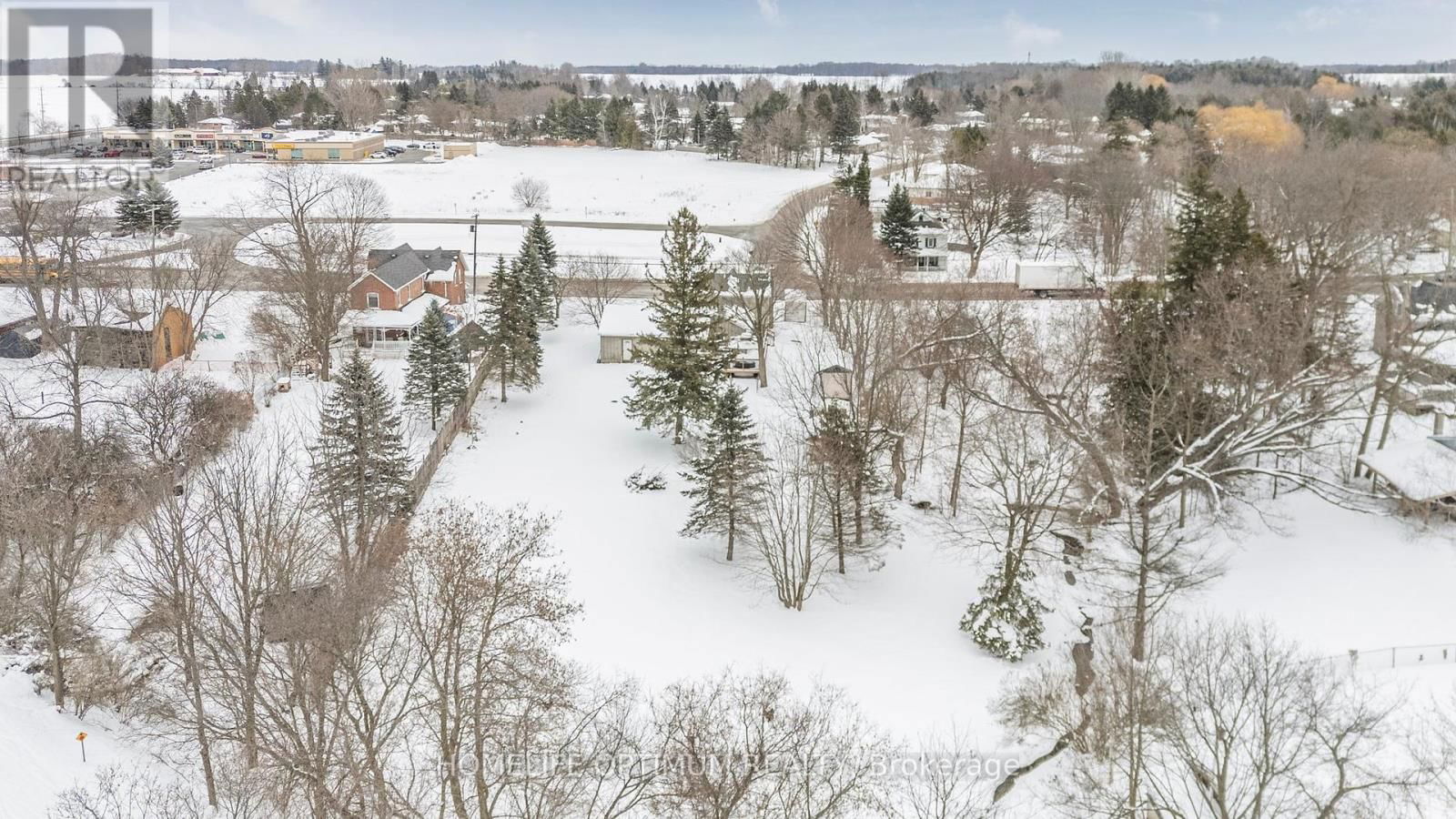 209 BARRIE STREET Image 24