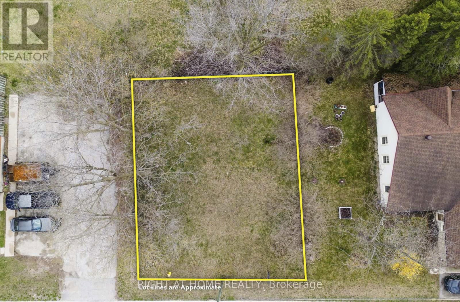 Primary Property View