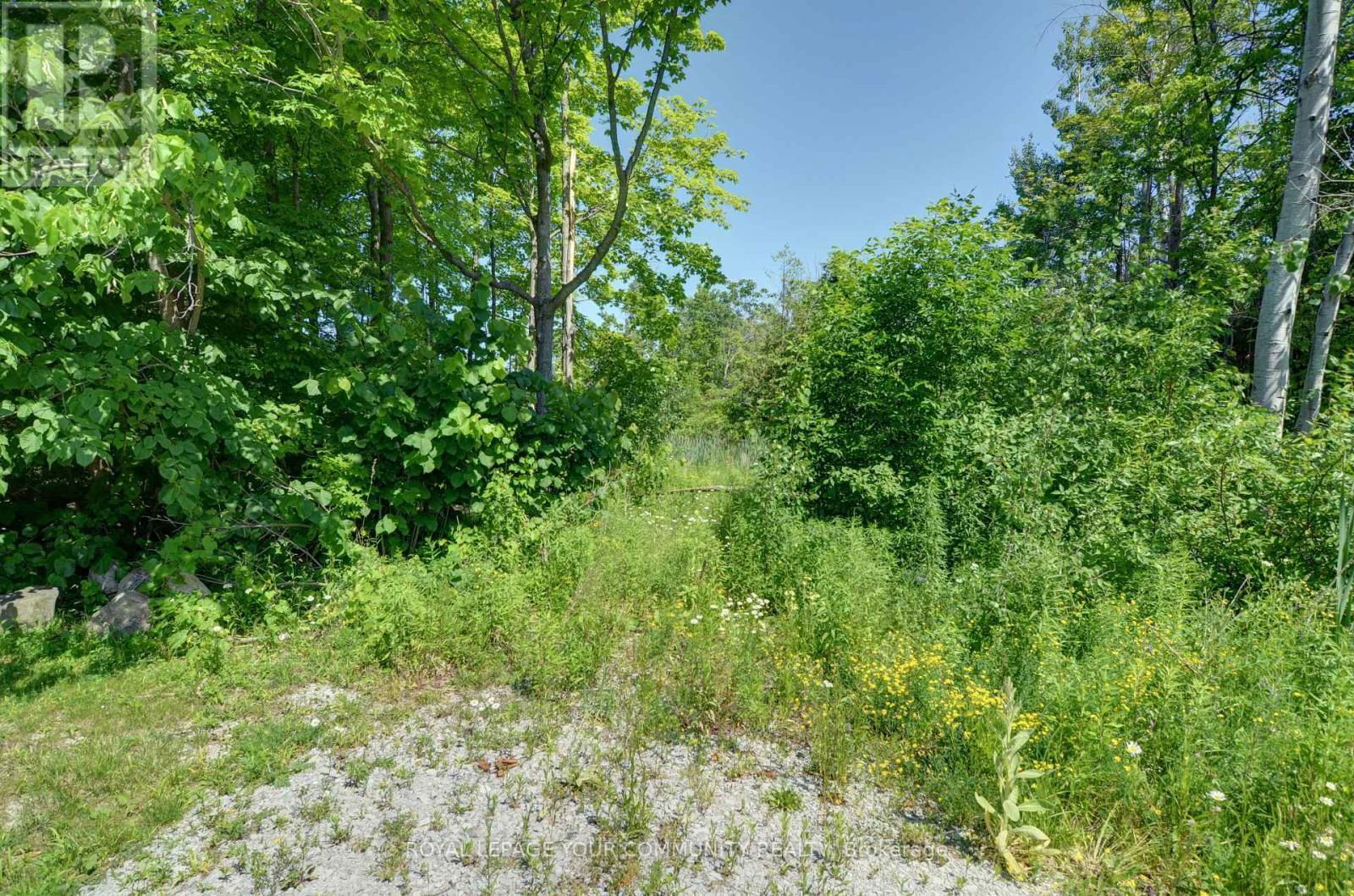 3635 KIMBERLEY STREET Image 9