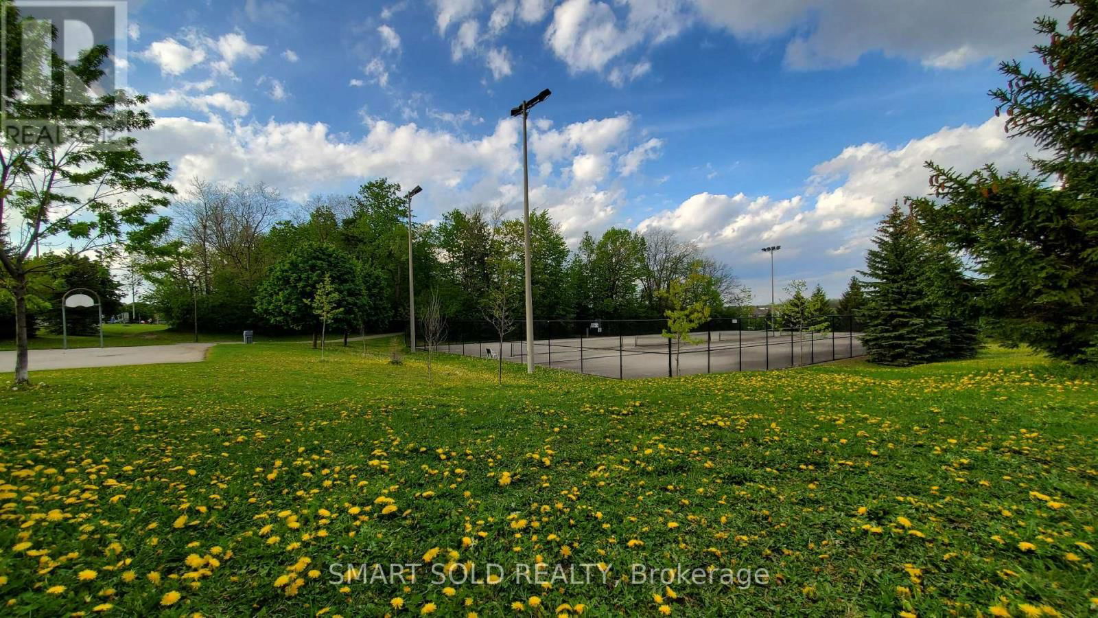 29 SHELL COURT Image 41