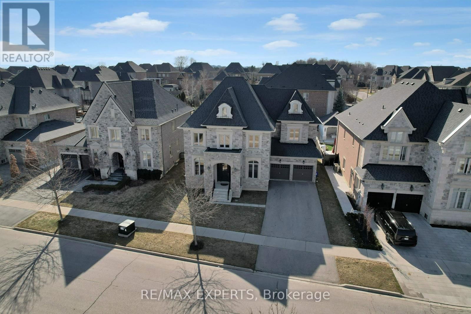 Primary Property View