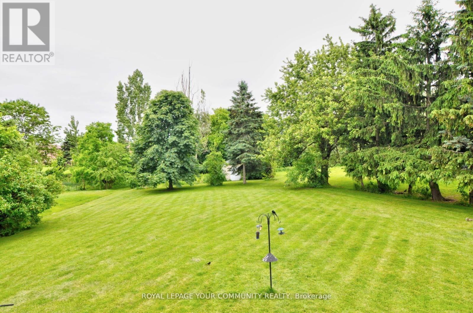 133 ELLIS AVENUE Image 36