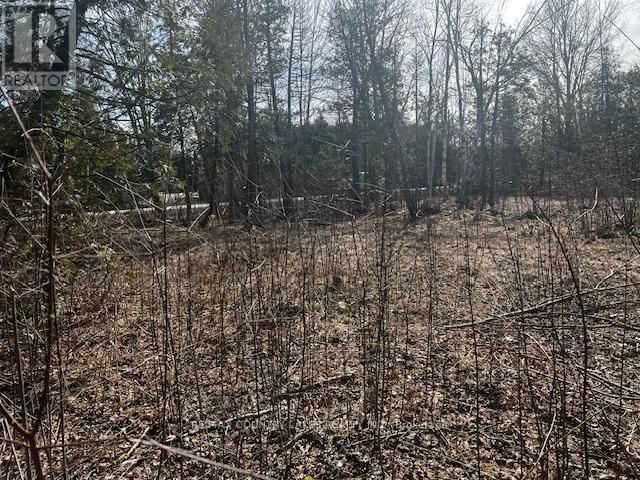 122-123 RIVERVIEW BEACH ROAD Image 7
