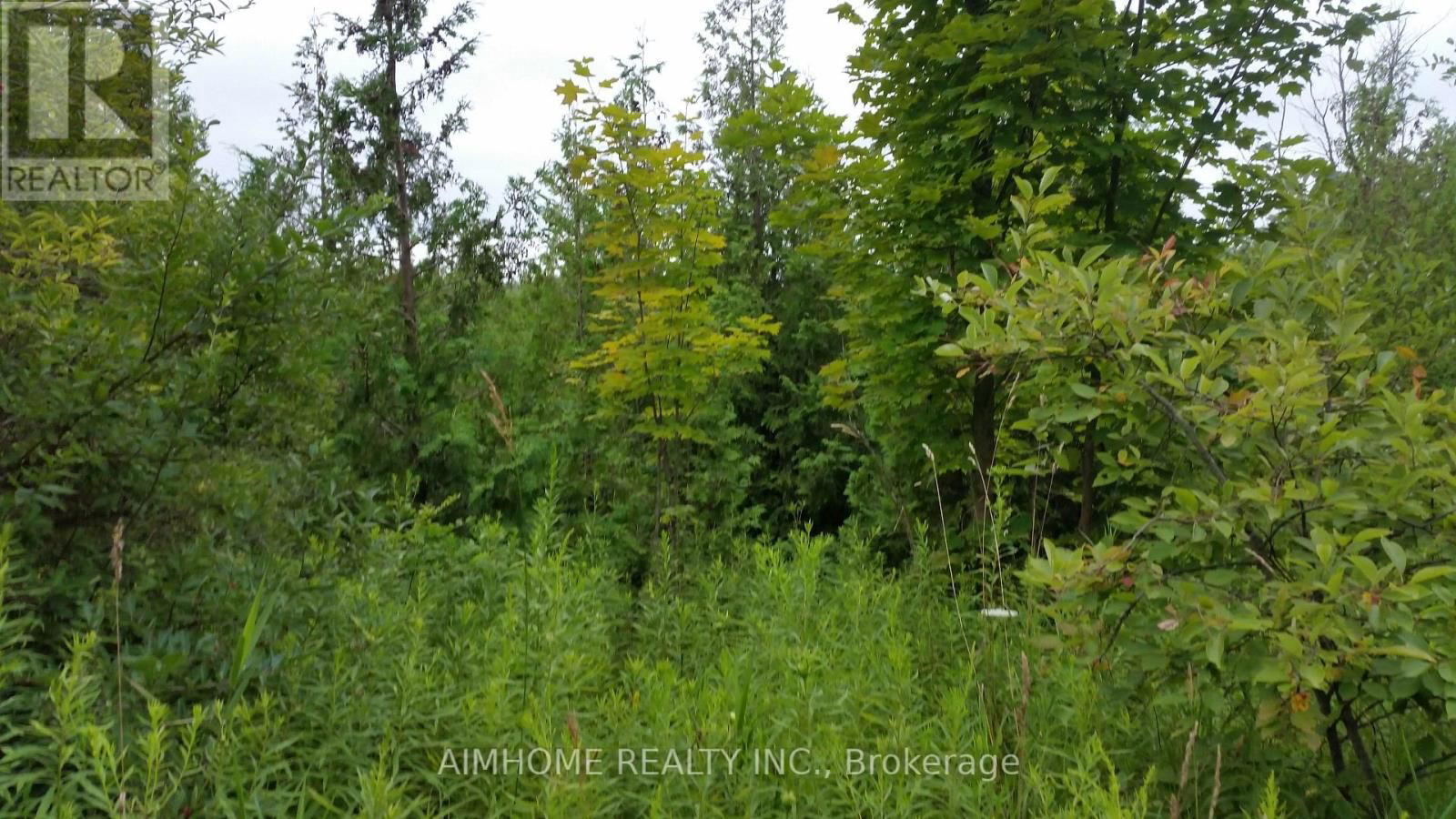 6TH CORNERS Image 12