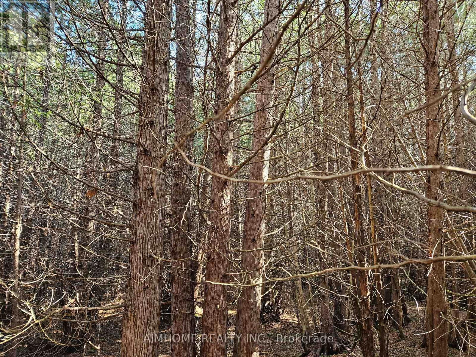 6TH CORNERS Image 37