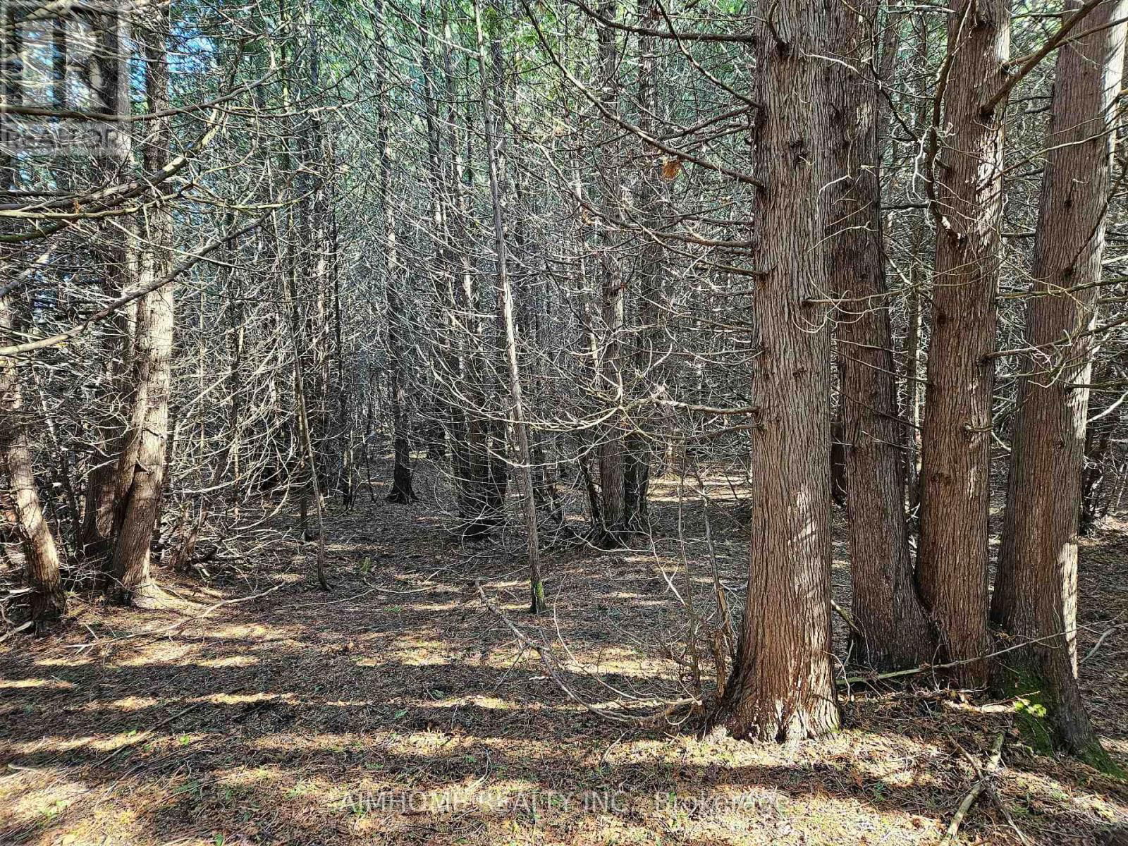6TH CORNERS Image 45
