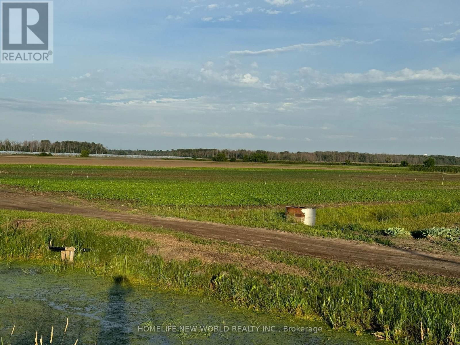 571 RAVENSHOE ROAD Image 3
