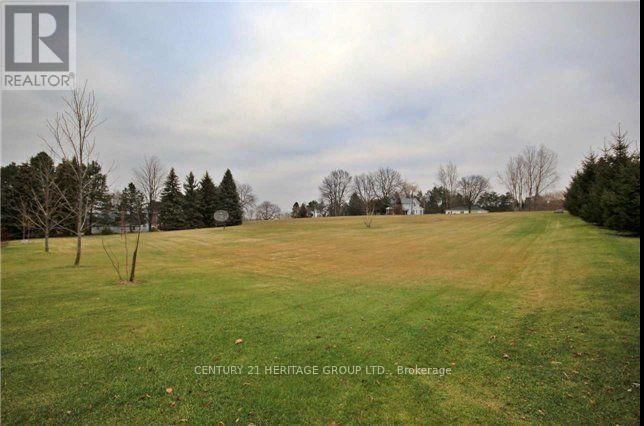 11 HODGSON AVENUE Image 7