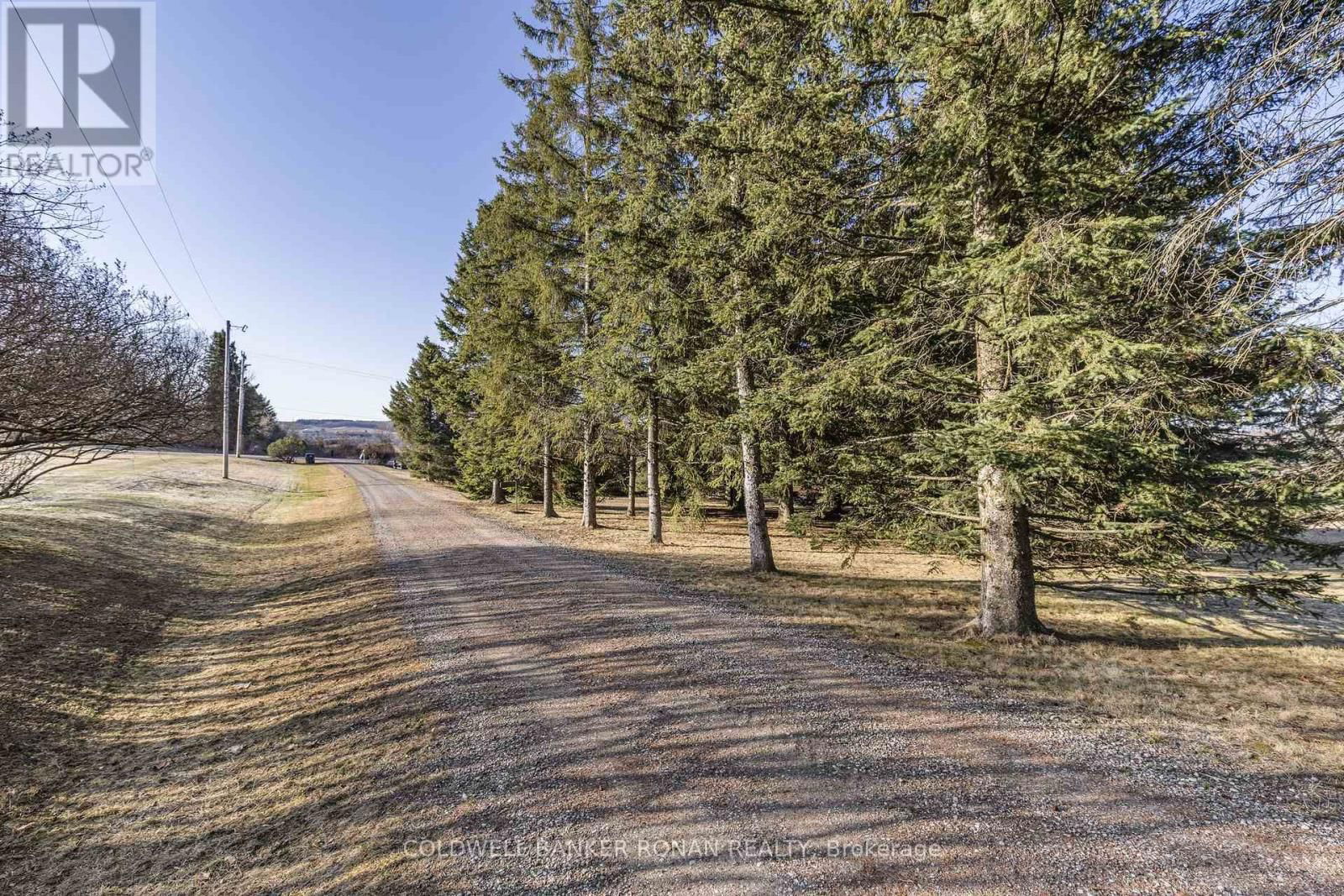 6218 5TH LINE Image 37