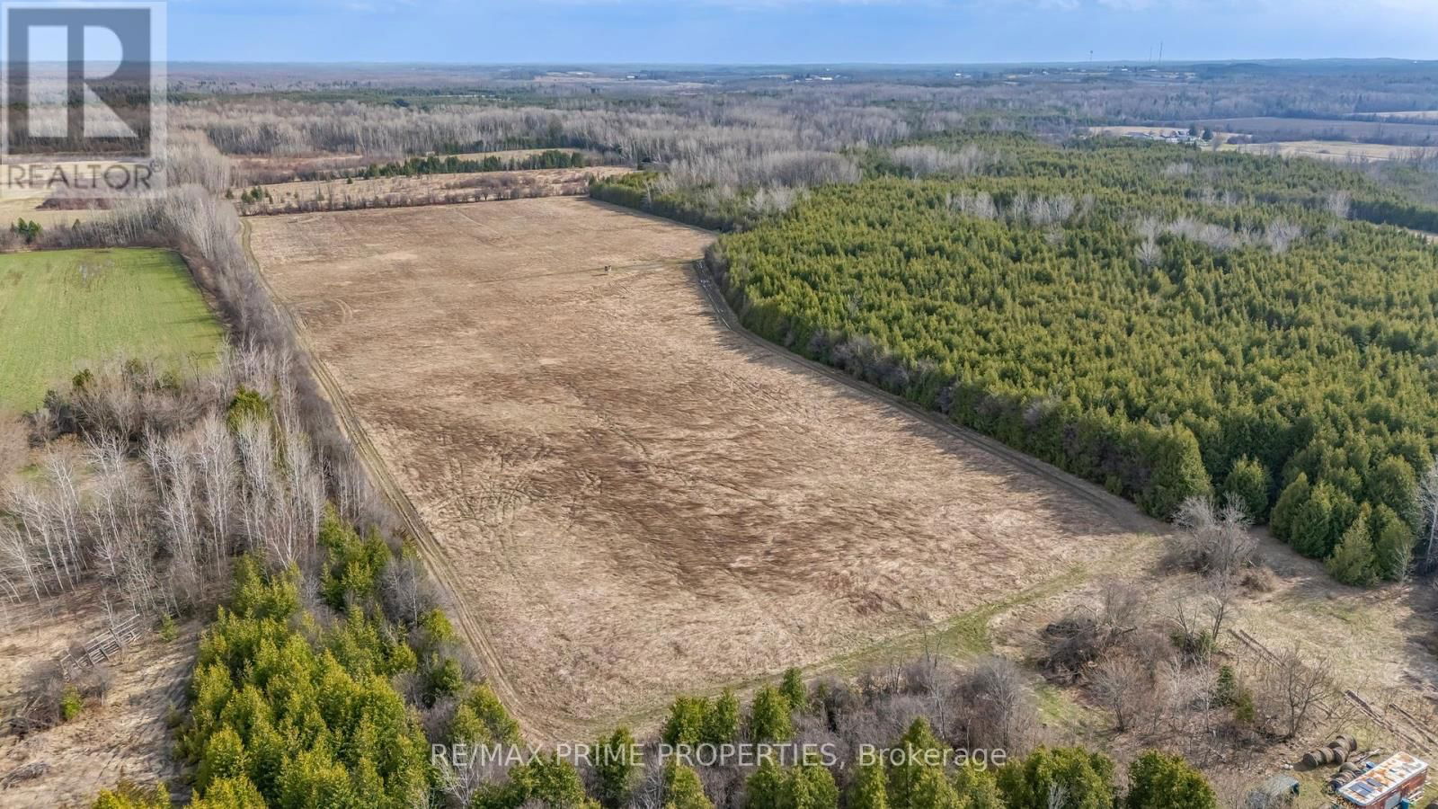 28171 HIGHWAY 48 ACRES Image 13