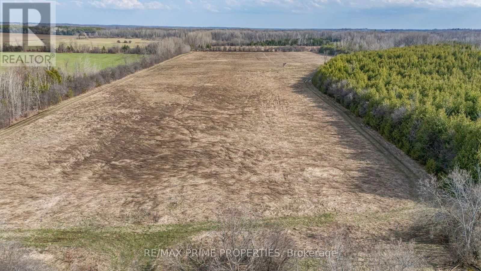 28171 HIGHWAY 48 ACRES Image 17