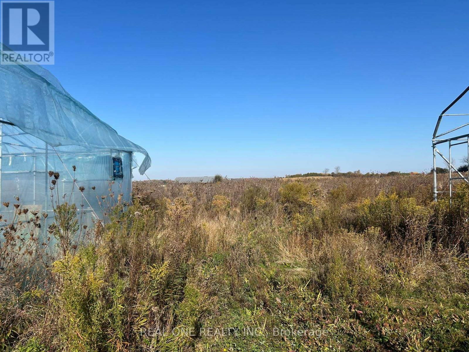 2065B THORAH CONCESSION RD 4 ROAD Image 2