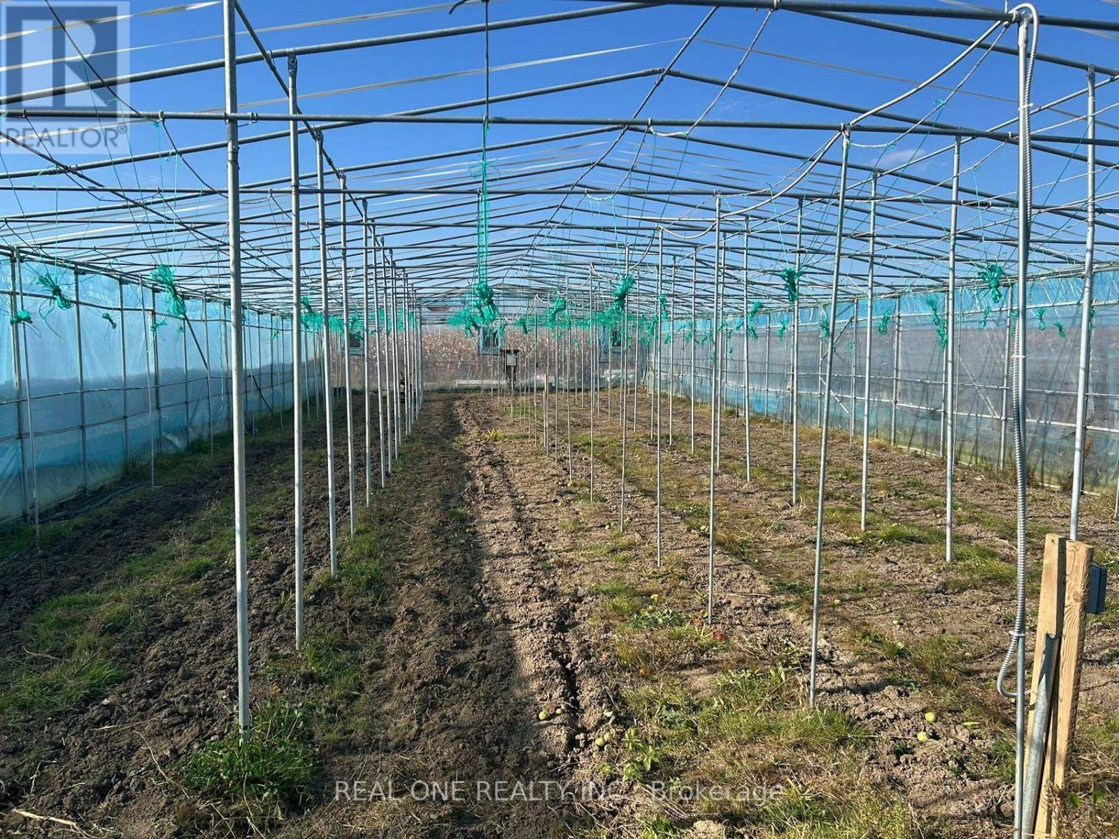 2065B THORAH CONCESSION RD 4 ROAD Image 3