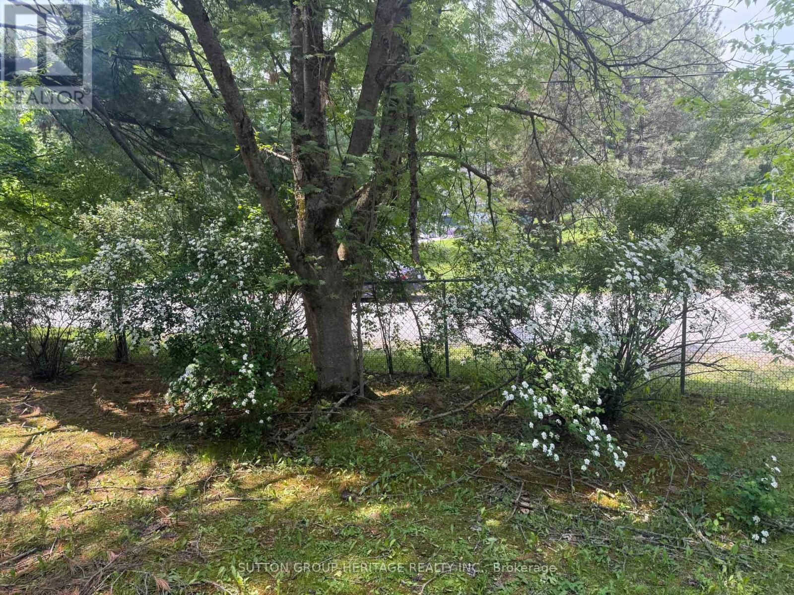 131 CEMETERY ROAD Image 4