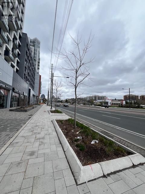TH110W - 3 ROSEWATER STREET Image 19