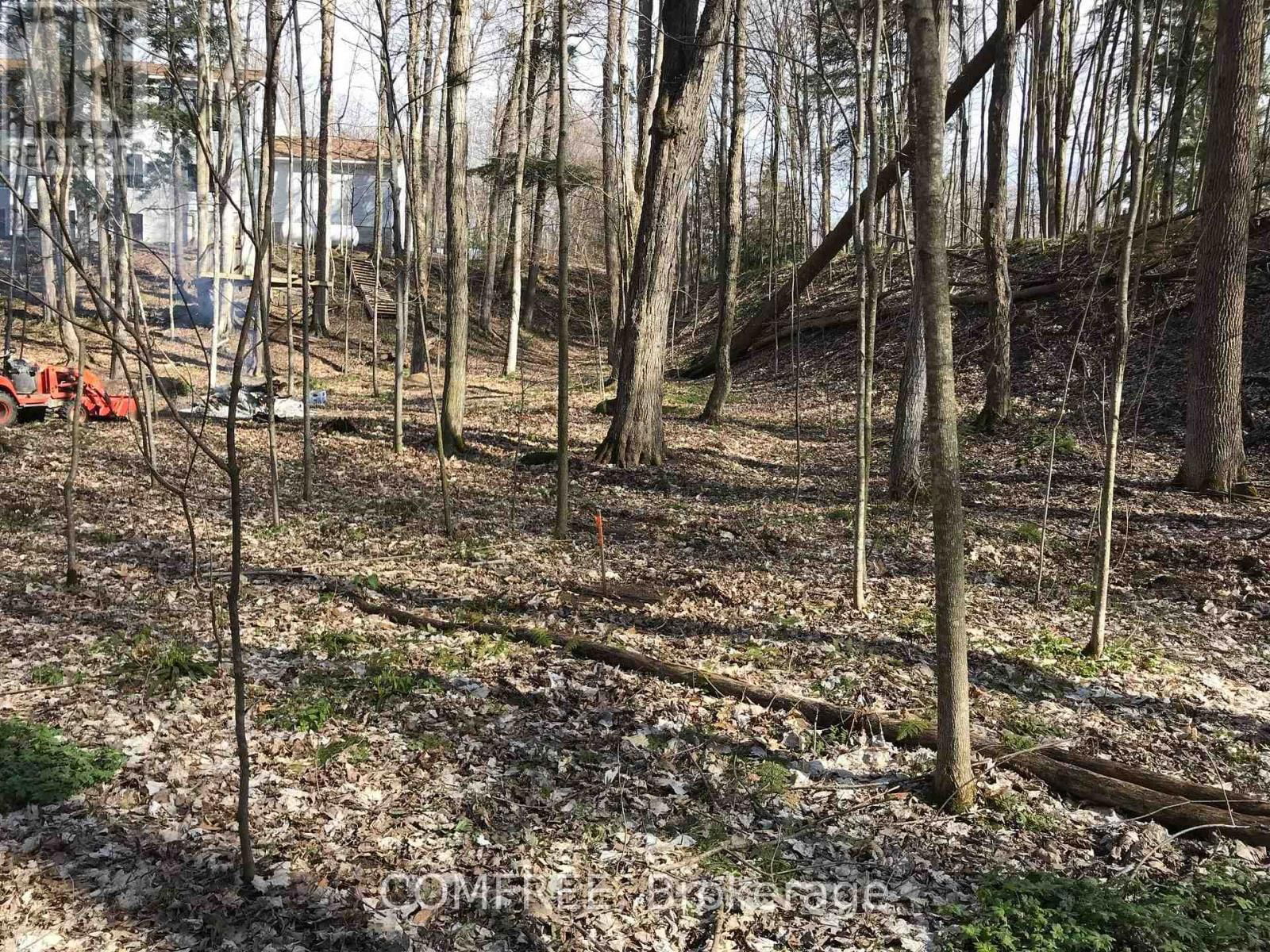 2072 WILKINSON STREET Image 16