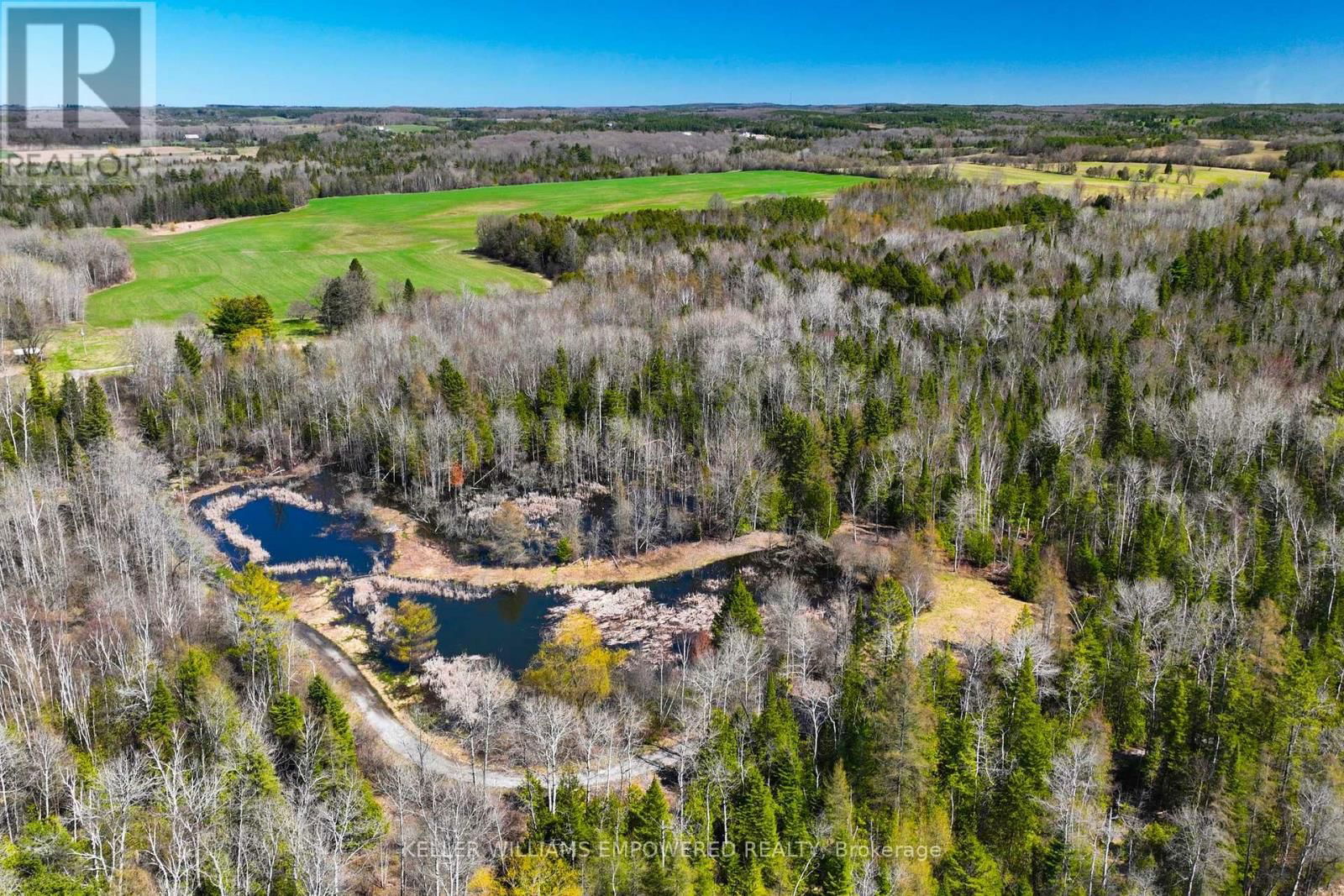 7489 CONCESSION ROAD 2 Image 11