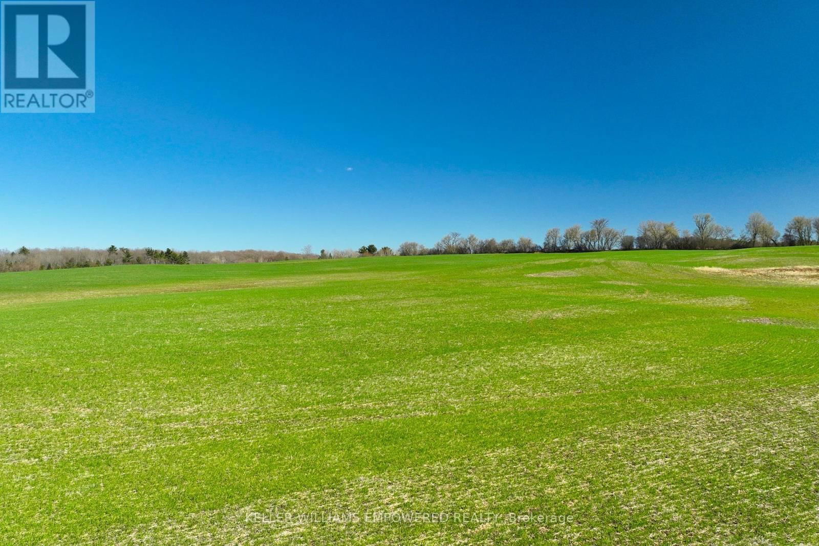 7489 CONCESSION ROAD 2 Image 14