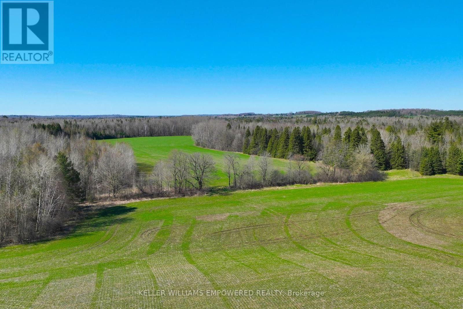 7489 CONCESSION ROAD 2 Image 17