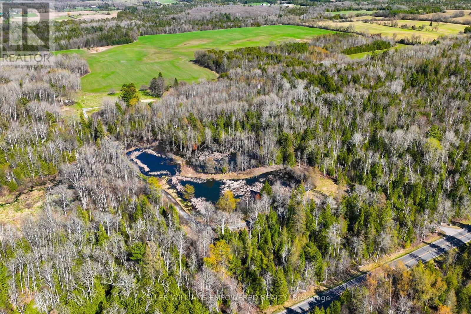 7489 CONCESSION ROAD 2 Image 2