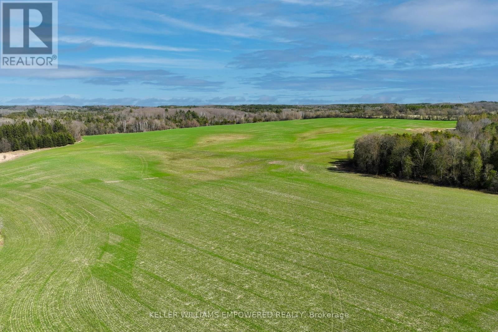 7489 CONCESSION ROAD 2 Image 23