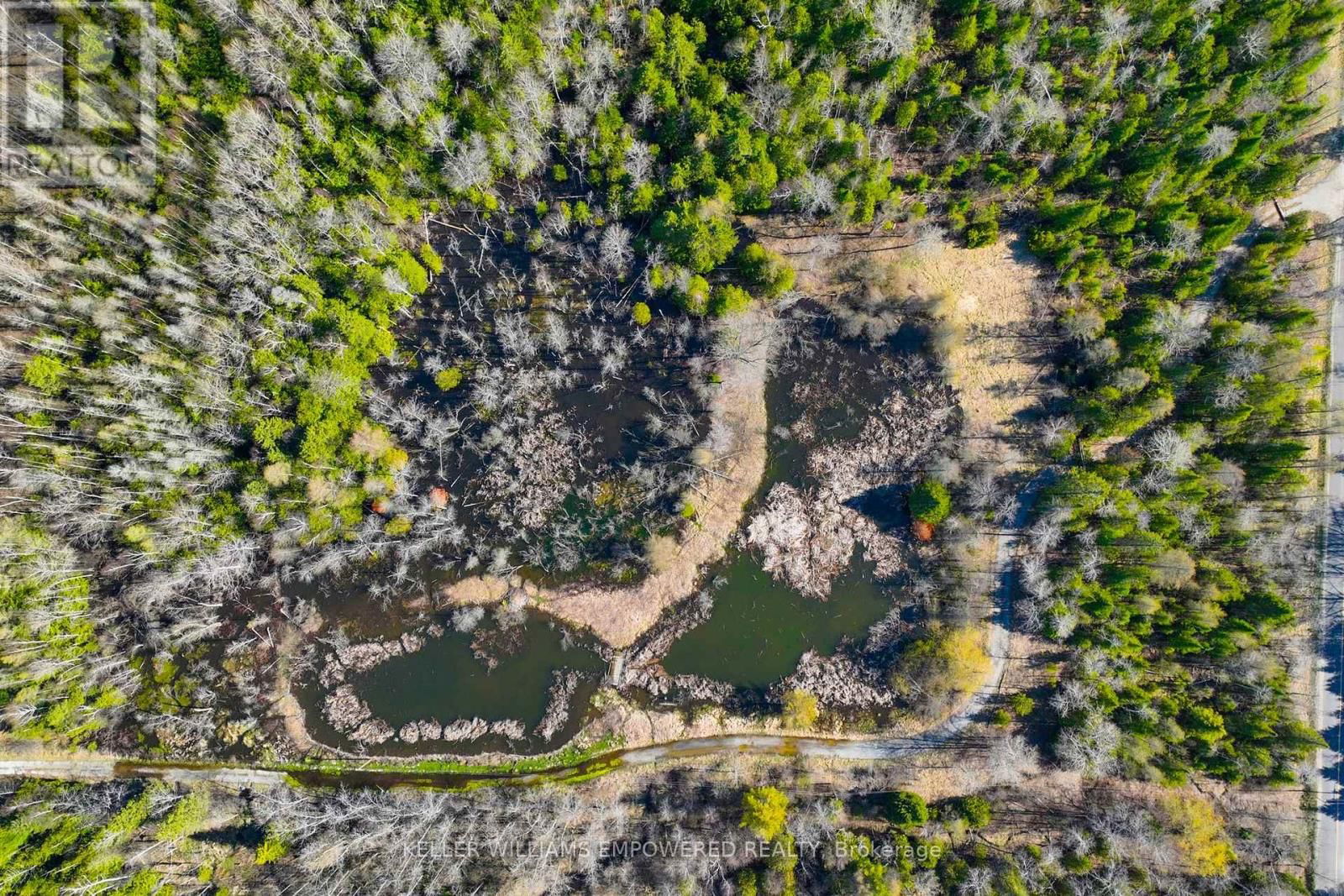 7489 CONCESSION ROAD 2 Image 34