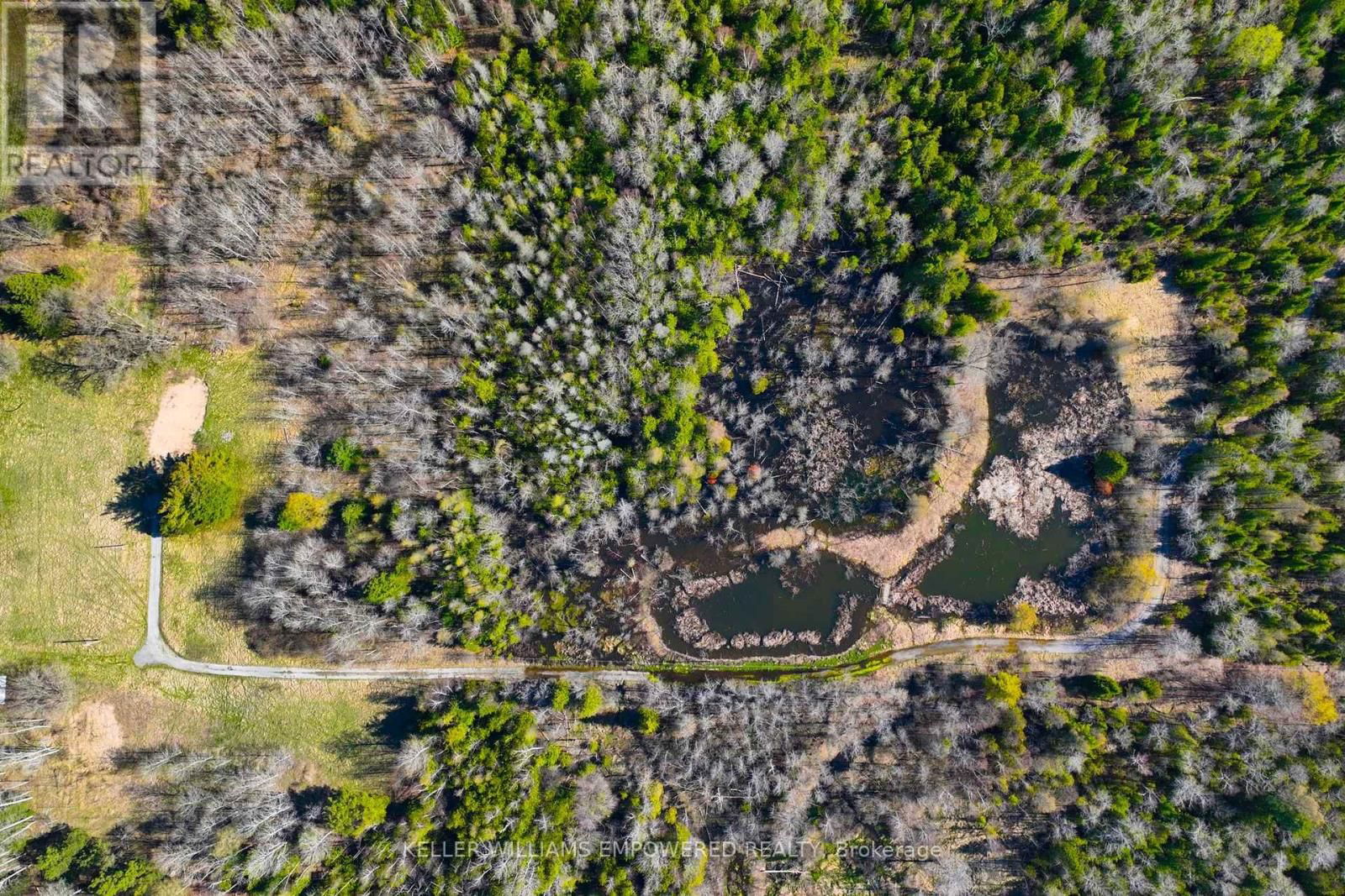 7489 CONCESSION ROAD 2 Image 35