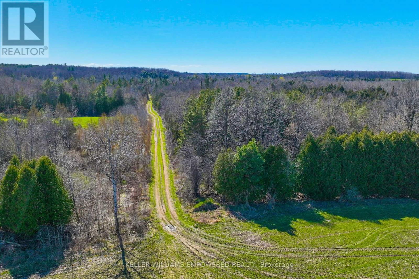 7489 CONCESSION ROAD 2 Image 8