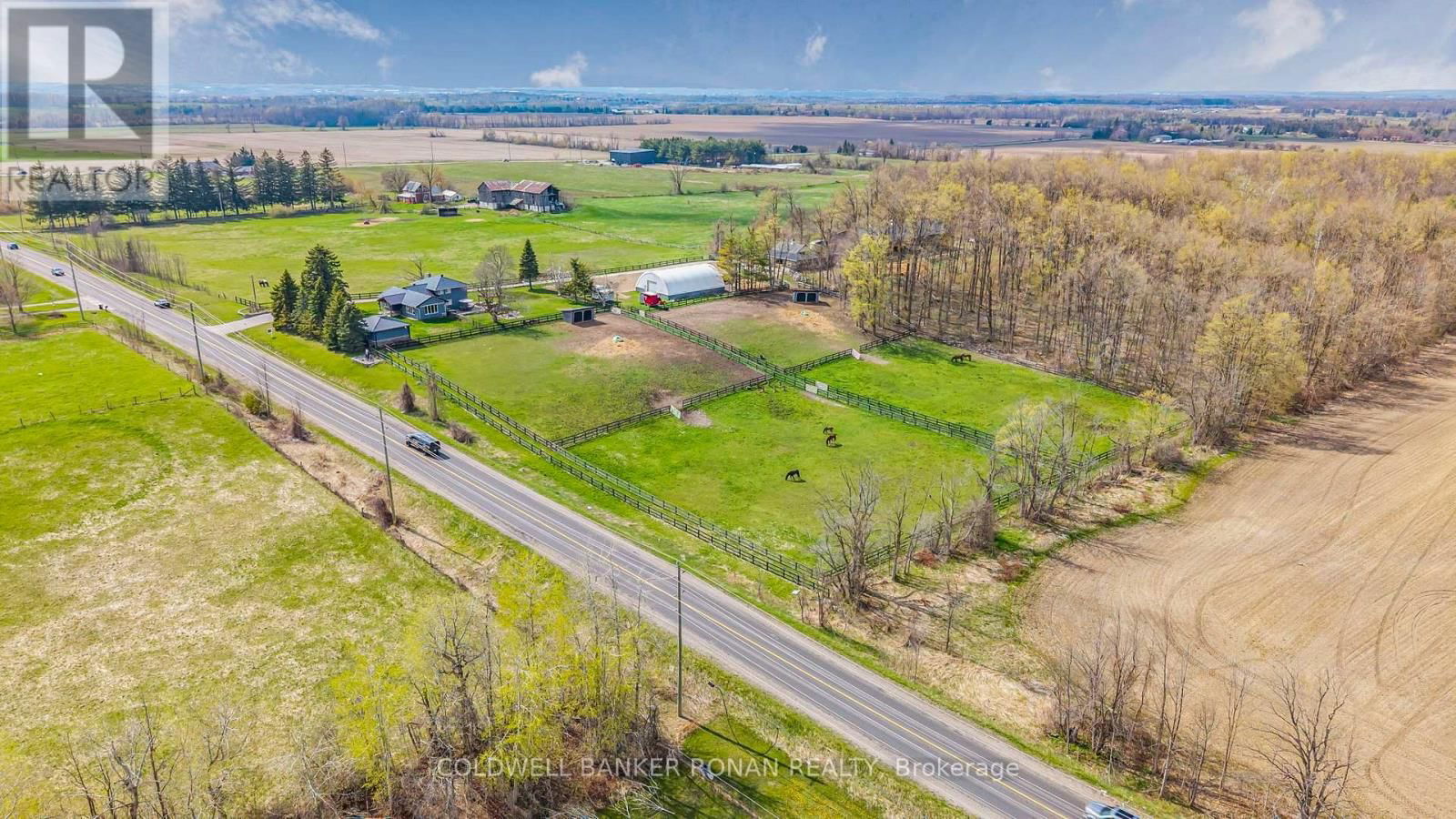 Primary Property View